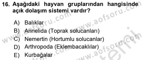 Genel Biyoloji Dersi 2023 - 2024 Yılı Yaz Okulu Sınav Soruları 16. Soru