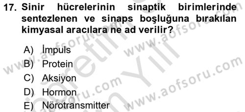 Genel Biyoloji Dersi 2023 - 2024 Yılı Yaz Okulu Sınav Soruları 17. Soru