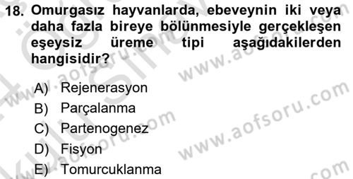 Genel Biyoloji Dersi 2023 - 2024 Yılı Yaz Okulu Sınav Soruları 18. Soru