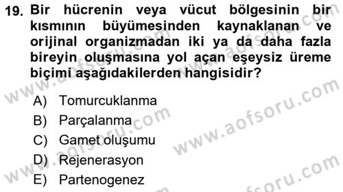 Genel Biyoloji Dersi 2023 - 2024 Yılı Yaz Okulu Sınav Soruları 19. Soru