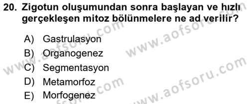 Genel Biyoloji Dersi 2023 - 2024 Yılı Yaz Okulu Sınav Soruları 20. Soru