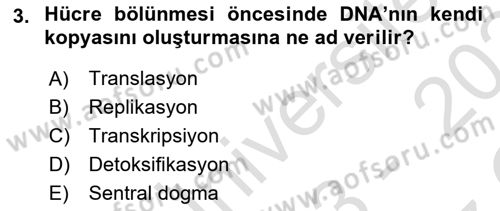Genel Biyoloji Dersi 2023 - 2024 Yılı Yaz Okulu Sınav Soruları 3. Soru