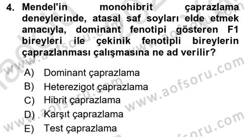 Genel Biyoloji Dersi 2023 - 2024 Yılı Yaz Okulu Sınav Soruları 4. Soru