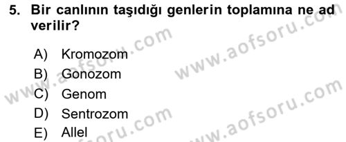 Genel Biyoloji Dersi 2023 - 2024 Yılı Yaz Okulu Sınav Soruları 5. Soru