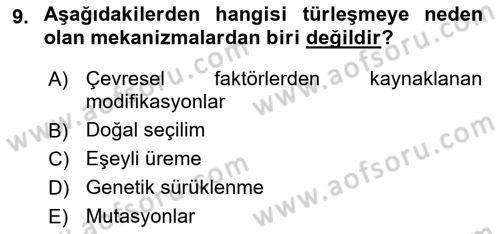 Genel Biyoloji Dersi 2023 - 2024 Yılı Yaz Okulu Sınav Soruları 9. Soru