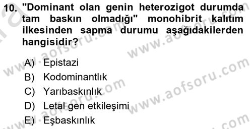 Genel Biyoloji Dersi Ara Sınavı Deneme Sınav Soruları 10. Soru