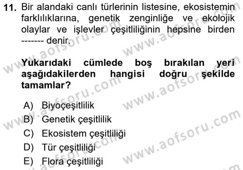 Genel Biyoloji Dersi Ara Sınavı Deneme Sınav Soruları 11. Soru