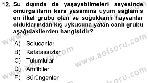 Genel Biyoloji Dersi Ara Sınavı Deneme Sınav Soruları 12. Soru