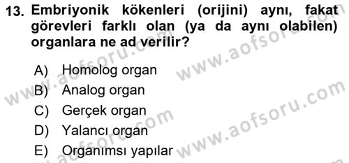 Genel Biyoloji Dersi Ara Sınavı Deneme Sınav Soruları 13. Soru