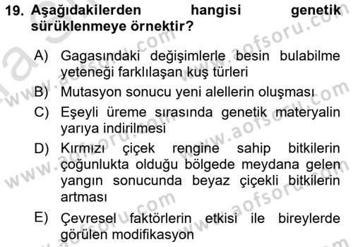 Genel Biyoloji Dersi Ara Sınavı Deneme Sınav Soruları 19. Soru