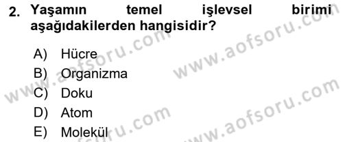 Genel Biyoloji Dersi Ara Sınavı Deneme Sınav Soruları 2. Soru