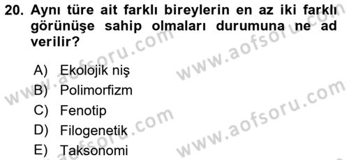 Genel Biyoloji Dersi Ara Sınavı Deneme Sınav Soruları 20. Soru