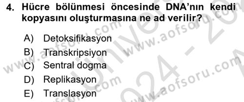 Genel Biyoloji Dersi Ara Sınavı Deneme Sınav Soruları 4. Soru