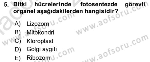 Genel Biyoloji Dersi Ara Sınavı Deneme Sınav Soruları 5. Soru