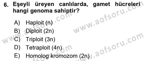 Genel Biyoloji Dersi Ara Sınavı Deneme Sınav Soruları 6. Soru
