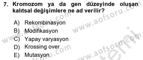 Genel Biyoloji Dersi Ara Sınavı Deneme Sınav Soruları 7. Soru
