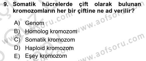 Genel Biyoloji Dersi Ara Sınavı Deneme Sınav Soruları 9. Soru