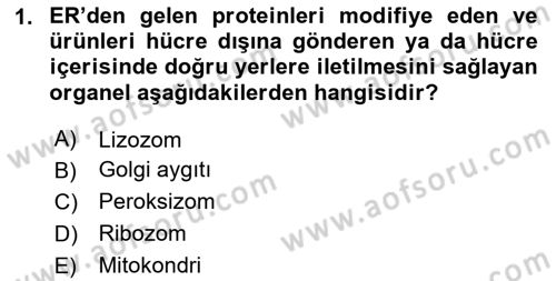 Genel Biyoloji Dersi 2024 - 2025 Yılı (Final) Dönem Sonu Sınav Soruları 1. Soru