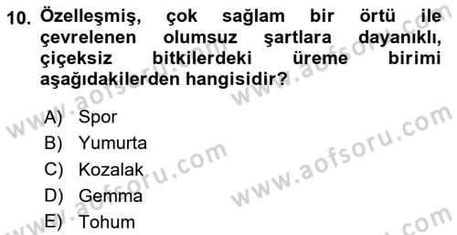 Genel Biyoloji Dersi 2024 - 2025 Yılı (Final) Dönem Sonu Sınav Soruları 10. Soru
