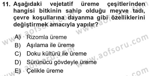 Genel Biyoloji Dersi 2024 - 2025 Yılı (Final) Dönem Sonu Sınav Soruları 11. Soru