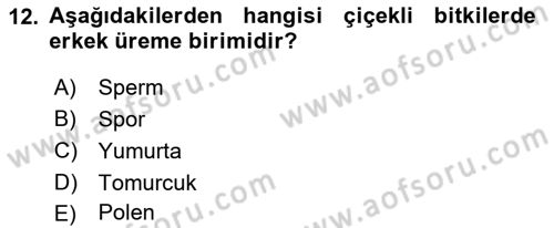 Genel Biyoloji Dersi 2024 - 2025 Yılı (Final) Dönem Sonu Sınav Soruları 12. Soru