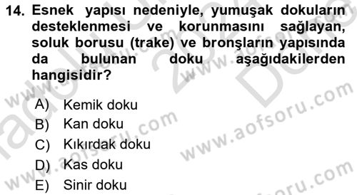 Genel Biyoloji Dersi 2024 - 2025 Yılı (Final) Dönem Sonu Sınav Soruları 14. Soru