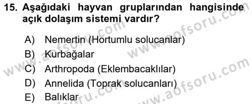 Genel Biyoloji Dersi 2024 - 2025 Yılı (Final) Dönem Sonu Sınav Soruları 15. Soru