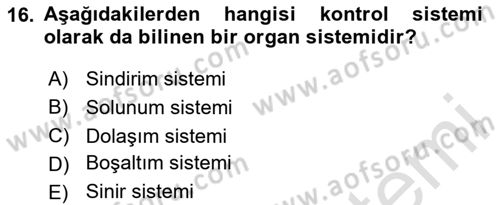Genel Biyoloji Dersi 2024 - 2025 Yılı (Final) Dönem Sonu Sınav Soruları 16. Soru