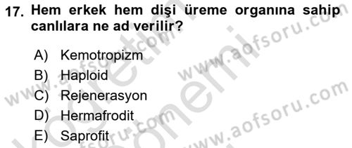 Genel Biyoloji Dersi 2024 - 2025 Yılı (Final) Dönem Sonu Sınav Soruları 17. Soru