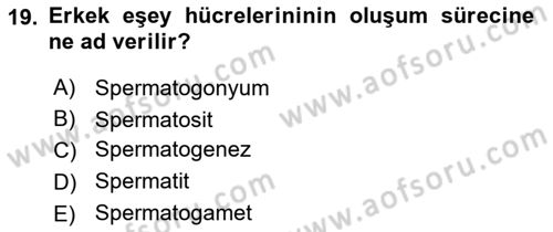 Genel Biyoloji Dersi 2024 - 2025 Yılı (Final) Dönem Sonu Sınav Soruları 19. Soru