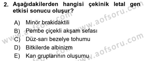 Genel Biyoloji Dersi 2024 - 2025 Yılı (Final) Dönem Sonu Sınav Soruları 2. Soru