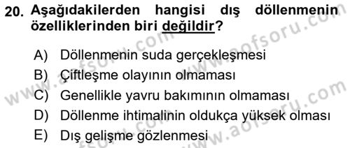 Genel Biyoloji Dersi 2024 - 2025 Yılı (Final) Dönem Sonu Sınav Soruları 20. Soru