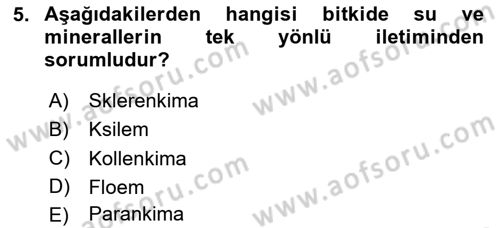 Genel Biyoloji Dersi 2024 - 2025 Yılı (Final) Dönem Sonu Sınav Soruları 5. Soru