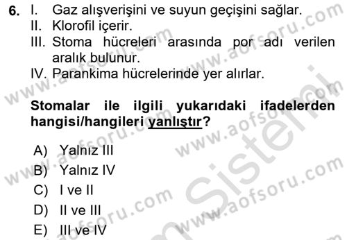 Genel Biyoloji Dersi 2024 - 2025 Yılı (Final) Dönem Sonu Sınav Soruları 6. Soru
