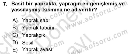 Genel Biyoloji Dersi 2024 - 2025 Yılı (Final) Dönem Sonu Sınav Soruları 7. Soru