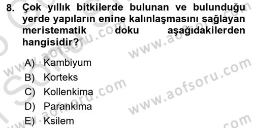 Genel Biyoloji Dersi 2024 - 2025 Yılı (Final) Dönem Sonu Sınav Soruları 8. Soru