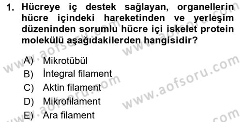 Genel Biyoloji Dersi 2024 - 2025 Yılı Yaz Okulu Sınav Soruları 1. Soru