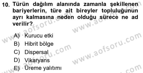 Genel Biyoloji Dersi 2024 - 2025 Yılı Yaz Okulu Sınav Soruları 10. Soru