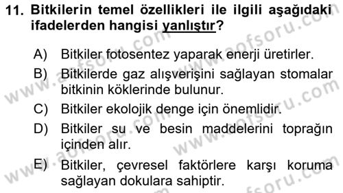 Genel Biyoloji Dersi 2024 - 2025 Yılı Yaz Okulu Sınav Soruları 11. Soru