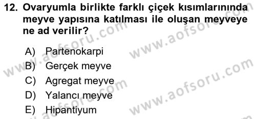 Genel Biyoloji Dersi 2024 - 2025 Yılı Yaz Okulu Sınav Soruları 12. Soru
