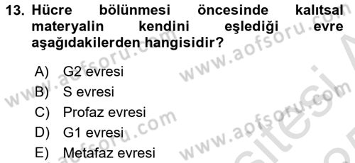 Genel Biyoloji Dersi 2024 - 2025 Yılı Yaz Okulu Sınav Soruları 13. Soru