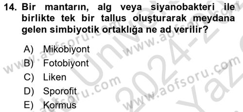Genel Biyoloji Dersi 2024 - 2025 Yılı Yaz Okulu Sınav Soruları 14. Soru
