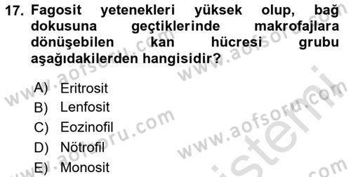 Genel Biyoloji Dersi 2024 - 2025 Yılı Yaz Okulu Sınav Soruları 17. Soru