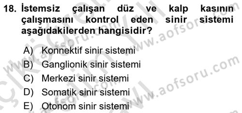 Genel Biyoloji Dersi 2024 - 2025 Yılı Yaz Okulu Sınav Soruları 18. Soru