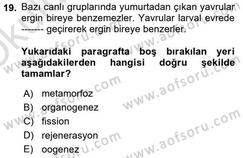 Genel Biyoloji Dersi 2024 - 2025 Yılı Yaz Okulu Sınav Soruları 19. Soru