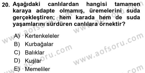 Genel Biyoloji Dersi 2024 - 2025 Yılı Yaz Okulu Sınav Soruları 20. Soru