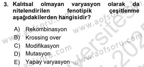 Genel Biyoloji Dersi 2024 - 2025 Yılı Yaz Okulu Sınav Soruları 3. Soru