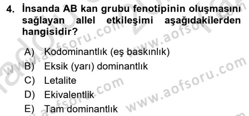 Genel Biyoloji Dersi 2024 - 2025 Yılı Yaz Okulu Sınav Soruları 4. Soru