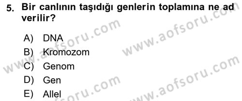 Genel Biyoloji Dersi 2024 - 2025 Yılı Yaz Okulu Sınav Soruları 5. Soru