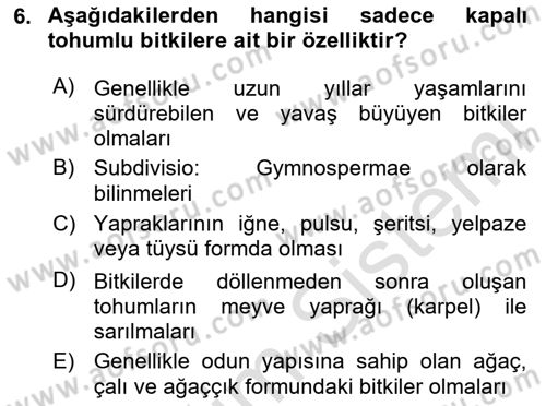 Genel Biyoloji Dersi 2024 - 2025 Yılı Yaz Okulu Sınav Soruları 6. Soru